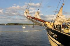 segelschiff-zuiderzee-traditionssegelschiff-hafen