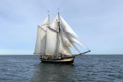 segelschiff-zuiderzee-traditionssegelschiff